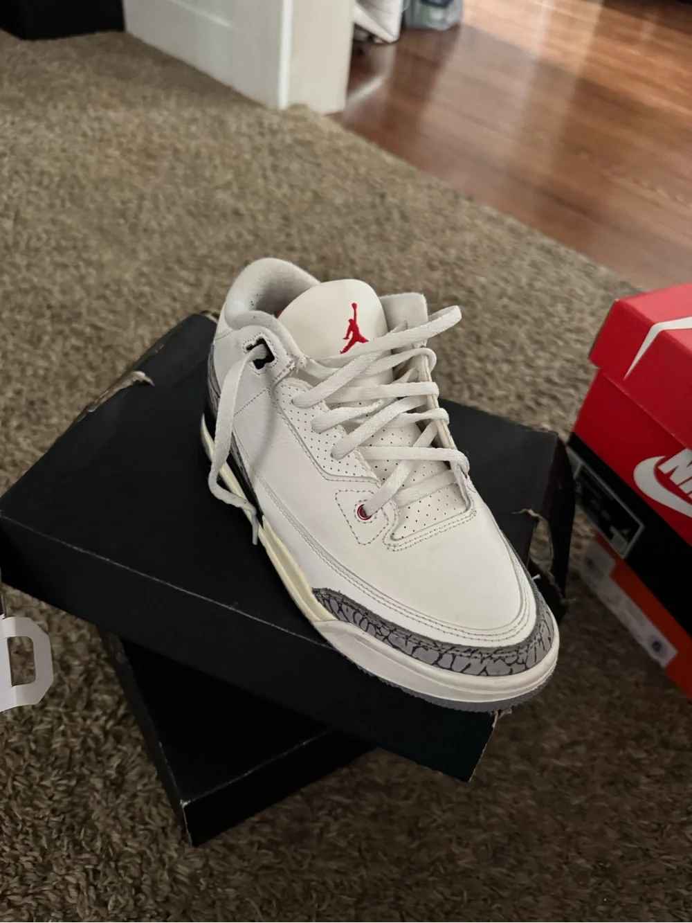 Nike Air Jordan 3 White with Red and Gray Elephant Print
